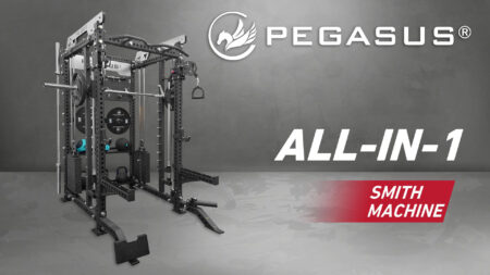 Pegasus® PG-2000 All-In-One Trainer - Image 3