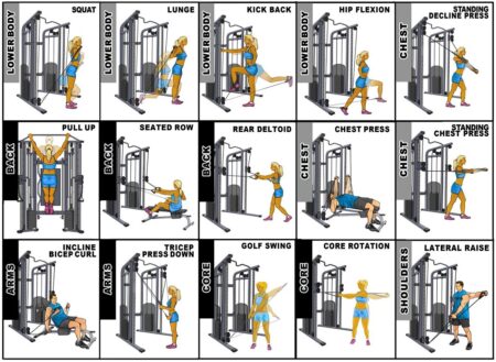Pegasus® Functional Trainer Pro - Image 4
