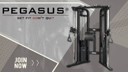 Pegasus® Functional Trainer Pro - Image 2