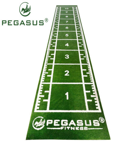 Pegasus® Συνθετικός Χλοοτάπητας 2x11m (3159) - Image 1