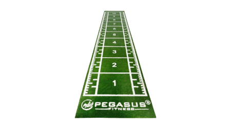 Pegasus® Συνθετικός Χλοοτάπητας 2x11m (3159) - Image 2
