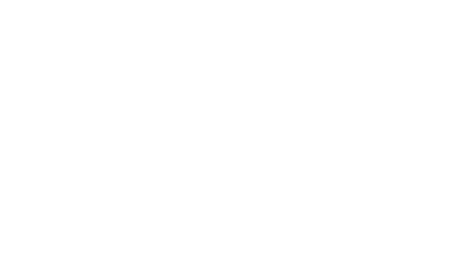 Pegasus® Συνθετικός Χλοοτάπητας 2x11m (3159) - Image 3