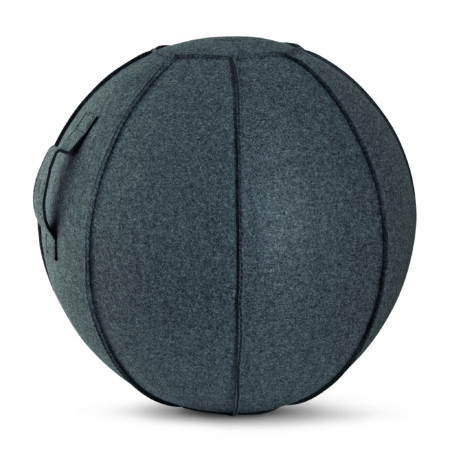 Κάλυμμα για Μπάλα Γυμναστικής AMILA GYMBALL 75cm - Image 19