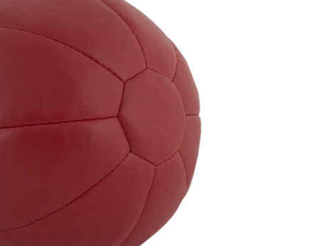 Μπάλα AMILA Medicine Ball PU 2kg - Image 16