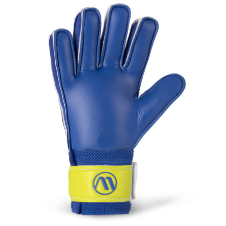 Γάντια Τερματοφύλακα AMILA Catch No09 - Image 16